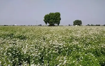 Photography capturing the essence of fear by Tasveer