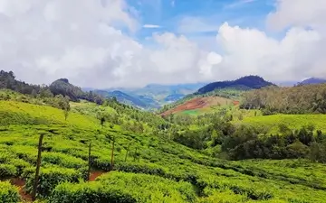 Philosophical nature shot captured by Tasveer