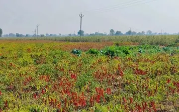 Deep photography about the concept of attachment by Tasveer